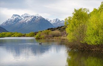 Glenorchy Lagoon with mountains