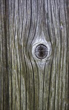 Weathered wood with knothole at a mountain hut