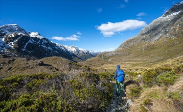 Hiker on the Routeburn Track
