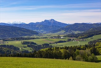 Panoramic view from Lichtenberg
