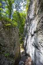 Path through the Salzach Gorge