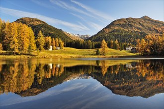 Autumnally discoloured larch forest reflected in Schwarzsee