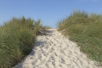 Route through sand dunes