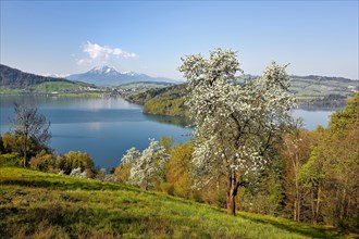 View of Lake Zug and Mount Pilatus