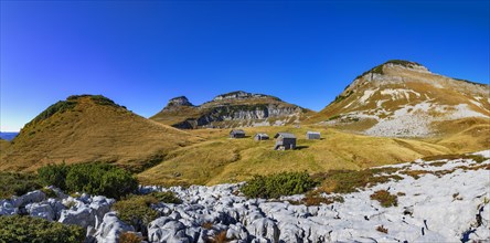 Panoramic view to Braeuningalm at Loser Plateau