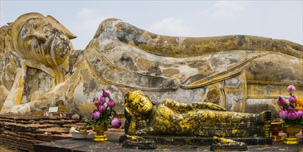 Lying Buddha statue
