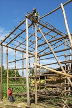 Building a barn for drying tobacco leaves