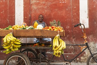 Mobile bicycle fruit and veg stall