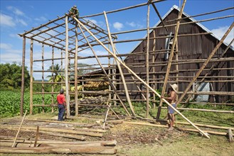 Building a barn for drying tobacco leaves