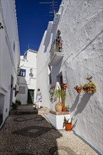 Picturesque alleys in the white mountain village of Frigiliana