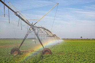 Irrigation system and rainbow