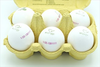 Egg-box of white free-range eggs marked respeggt