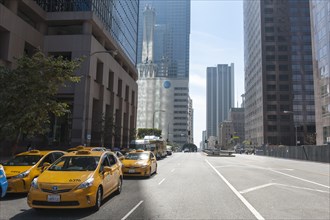 Yellow taxis