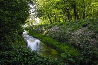 Renaturalised watercourse