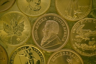 Gold coins 1 ounce gold Kruger obverse Paul Kruger between other gold coins Maple Leaf
