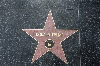 Star by Donald Trump