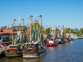 Colourful crab cutters in the fishing cutter harbour of Greetsiel