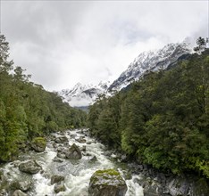 Hollyford river with snowy mountains