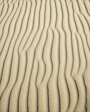 Wave patterns in light sand