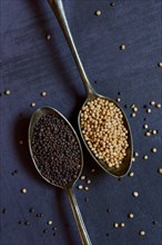 White and black mustard seeds in spoon