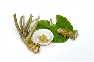 Wasabi roots and wasabi paste in bowl