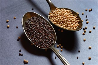 Black and white mustard seeds in spoon