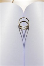 Two wedding rings in the fold from an empty book