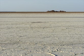 Crust of rock salt on the Assale salt lake