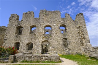 Wolfstein Castle Ruins
