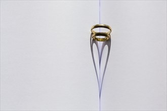 Two rings in the fold of an empty book