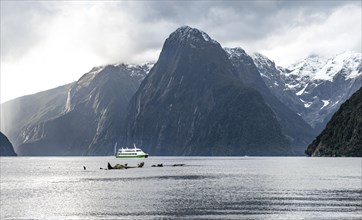 Tourist boat goes through Milford Sound