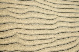 Wave patterns in light sand
