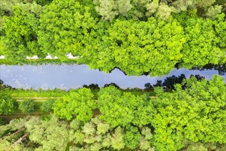 Ludwig-Danube-Main Canal in the forest from above