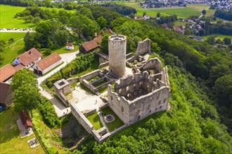 Castle ruin Wolfstein