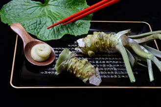 Wasabi roots and wasabi paste on tray with chopsticks
