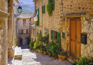 Flowerpots in alley with typical stone houses