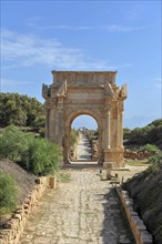 Historical street with the triumphal arch of Septimius Severus