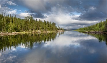 Nordic forest reflected in a lake