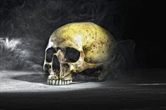Human skull surrounded by smoke