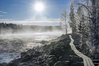 Autumn atmosphere with fog on the river in the evening light