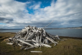 Stacked driftwood logs