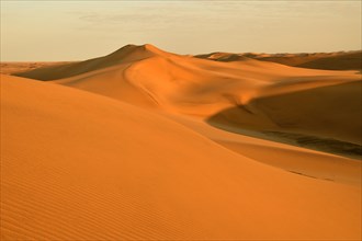 Sand dunes of the Namib Desert