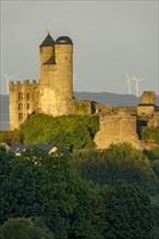 Ruins of the medieval castle Greifenstein