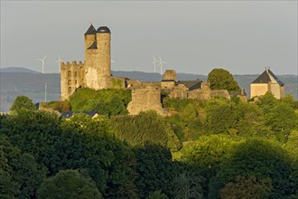 Ruins of the medieval castle Greifenstein