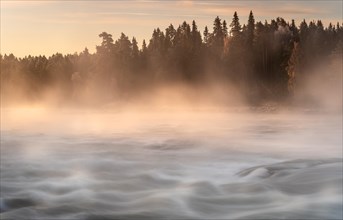 Autumn atmosphere with fog on the river in the evening light