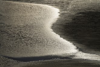 Water edge with ripples on a beach at low tide