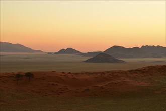 Landscape in the soft evening light at the edge of the Namib Desert