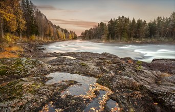 Autumnal atmosphere on the river in the evening light