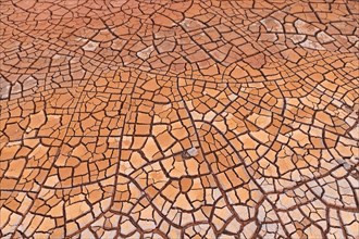 Cracks in clay soil form mosaic-like structure
