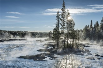 Autumn atmosphere with fog on the river in the evening light